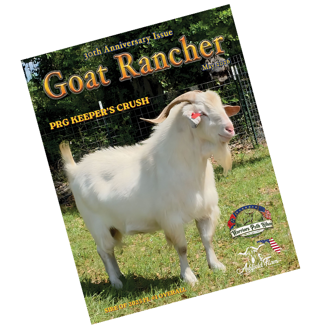 magazine cover